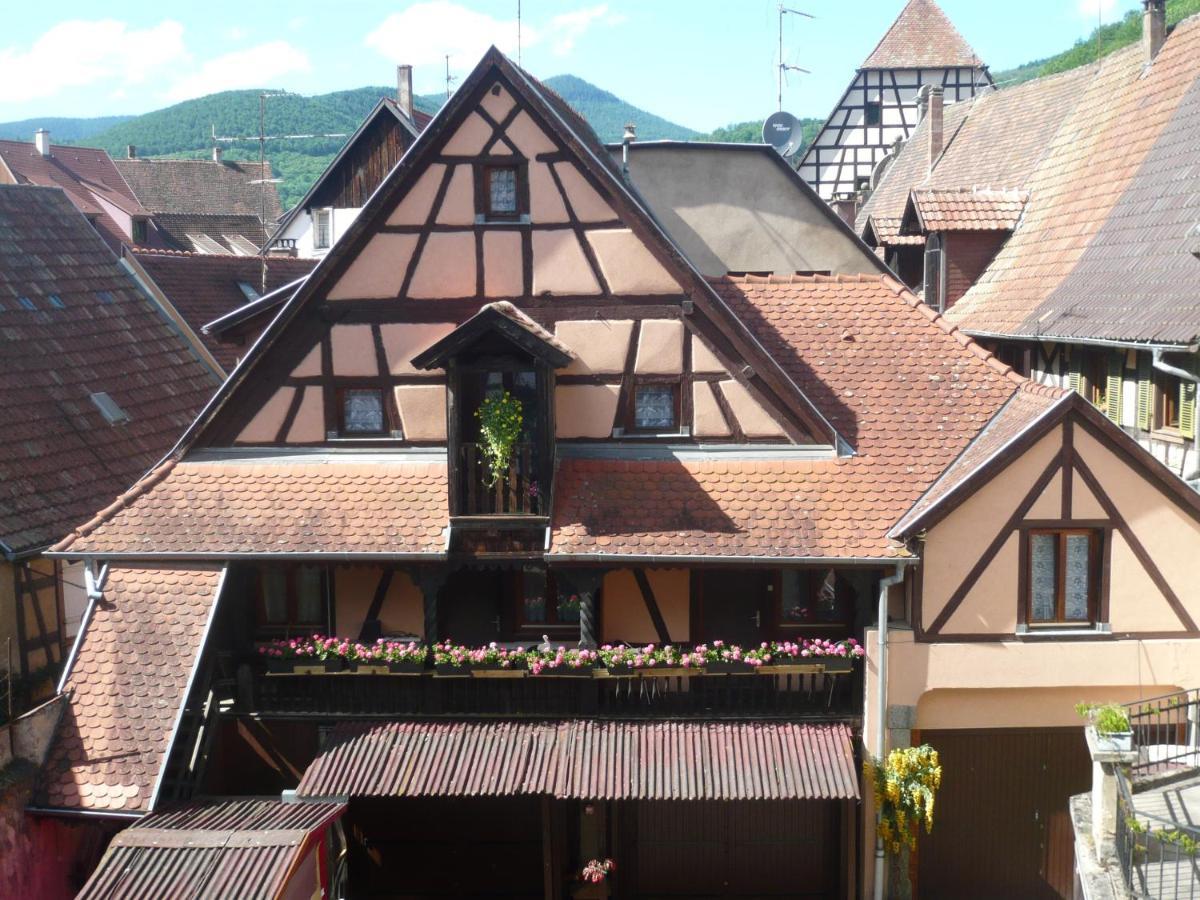 Appartamento Le Seigle, La Cour Des Meuniers Kaysersberg-Vignoble Esterno foto